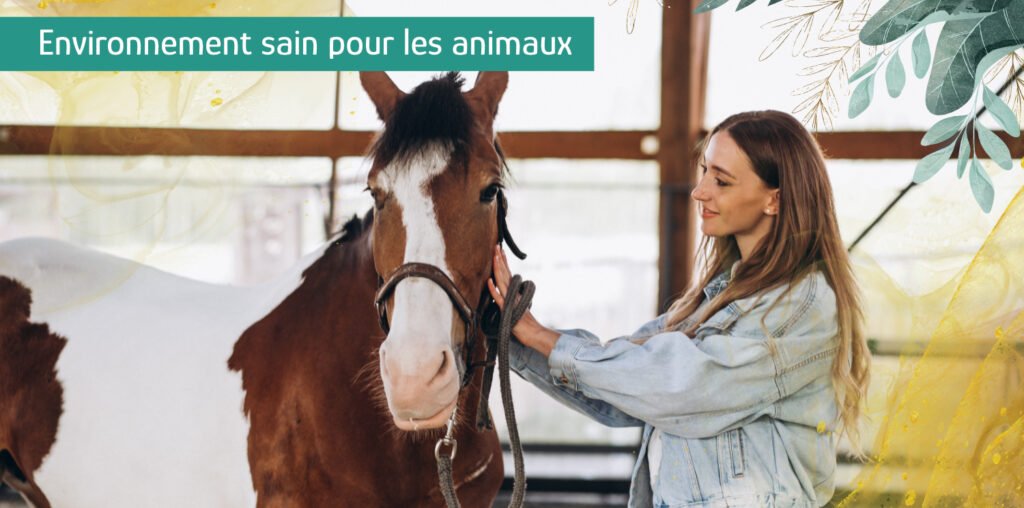 cheval bien etre geobiologie pays de loire