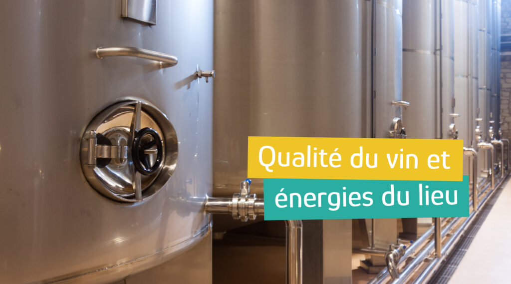 Équilibrer les énergies de la vigne : la géobiologie au cœur des terroirs