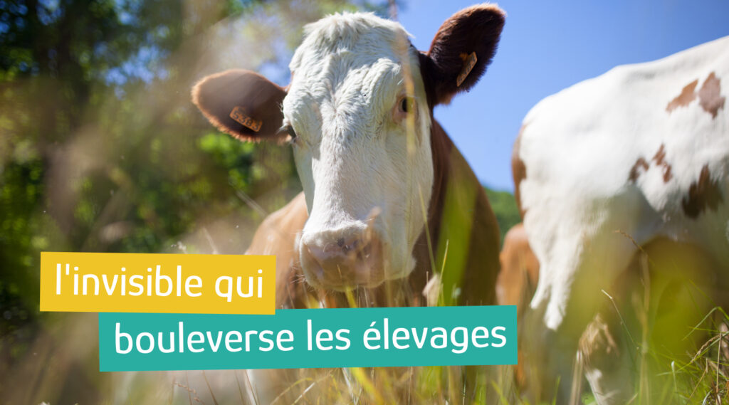 L'invisible qui bouleverse votre élevage